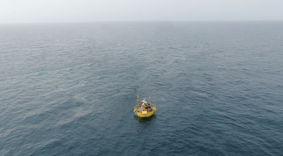 Boias de Monitorização de Mamíferos Marinhos Sub Análise de Dados em Tempo Real
